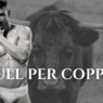 Bull per coppie: chi sono e come trovarli!